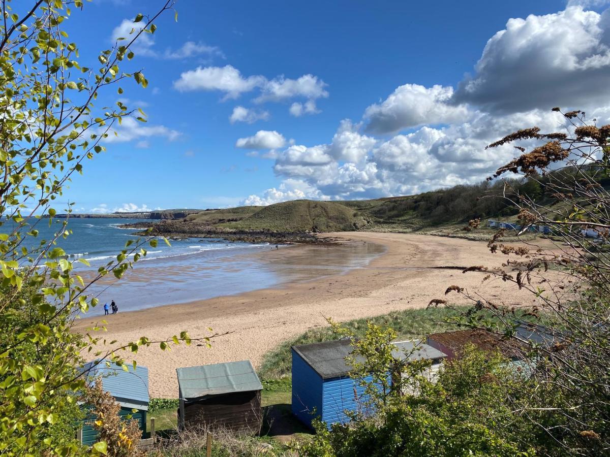 1 The Bay - Stunning Contemporary Flat On The Scottish Coast Apartman Coldingham Kültér fotó